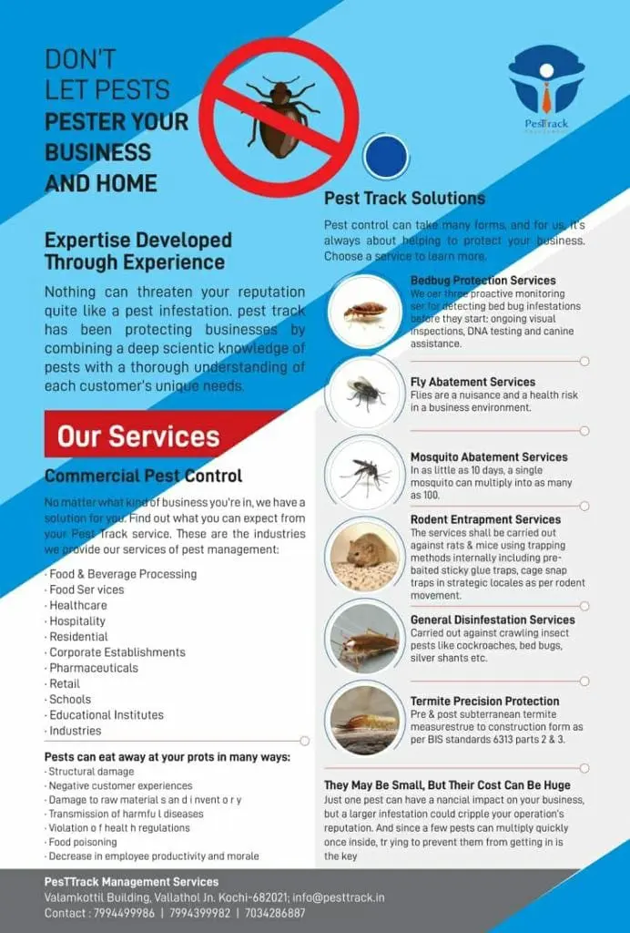 A description of OUR SERVICES